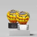 Apple Shaped Awards